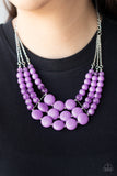 Paparazzi Necklace - Flirtatiously Fruity - Purple
